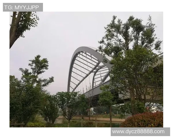 飞盘生涯的探索与成长张军分享他的热爱与坚持